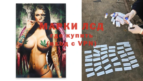 спиды Алзамай