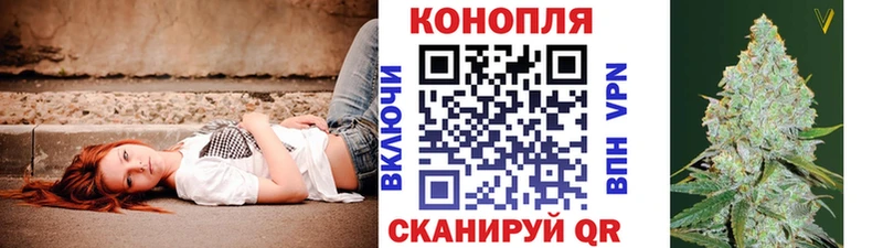 Каннабис семена  Злынка 